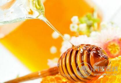 蜂蜜的功效你了解多少？