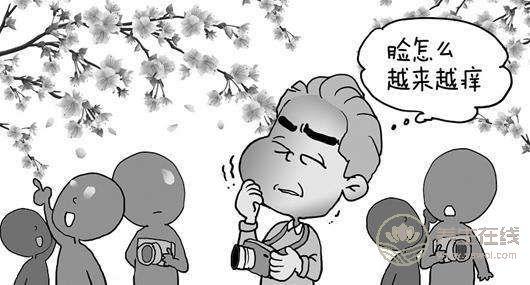 緩解花粉過敏的5類食物