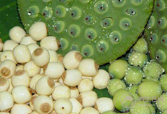 食療養(yǎng)生:食物調(diào)理脾胃小幫手 食療養(yǎng)生:食物調(diào)理脾胃小幫手