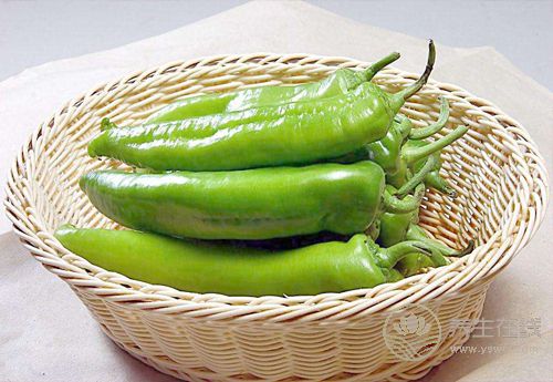 常吃青椒,對身體有這些好處,你知道嗎? 常吃青椒,對身體有這些好處,你知道嗎?