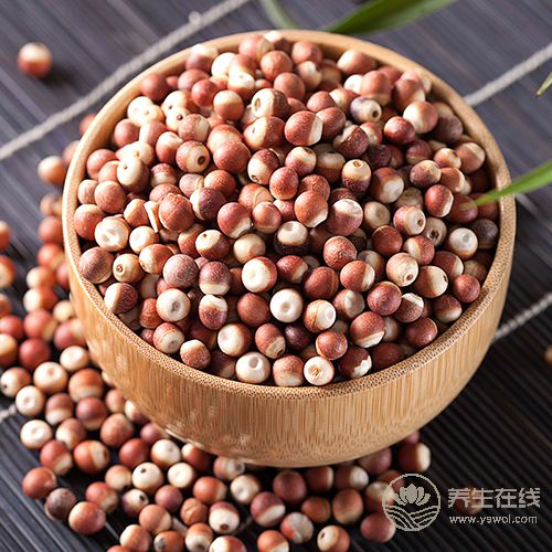 食療養(yǎng)生:食物調(diào)理脾胃小幫手 食療養(yǎng)生:食物調(diào)理脾胃小幫手