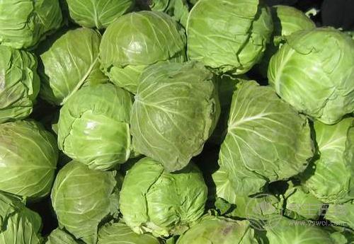 這幾種蔬菜是天然“胃藥”，胃不好可常吃