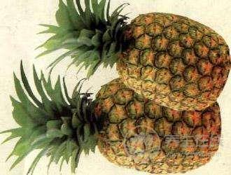 養胃水果有哪些? 養胃水果有哪些?