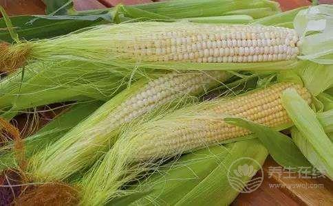 你經常往外扔的這個東西，全身都是寶！