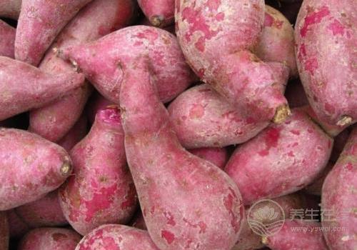 愛吃紅薯的注意:紅薯不能跟6種食物一起吃! 愛吃紅薯的注意:紅薯不能跟6種食物一起吃!