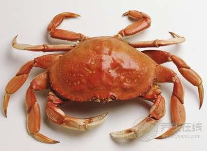 糖尿病人可以吃螃蟹嗎 糖尿病人可以吃螃蟹嗎