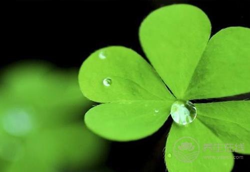 末伏養肝,這幾點需要注意 末伏養肝,這幾點需要注意