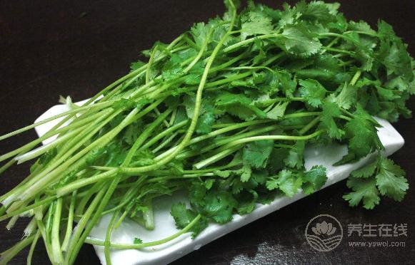 不吃香菜，你就體驗不到這幾個好處