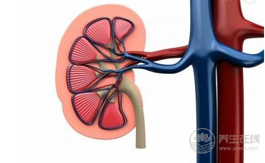 注意！這些因素都是導致禿頂的“導火線”