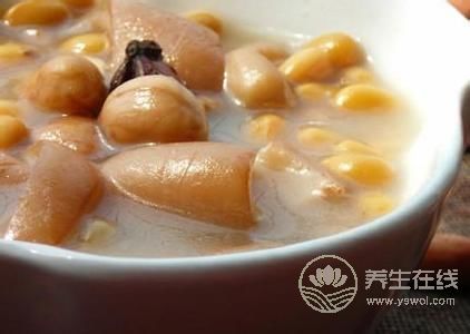 推薦3款含膠原蛋白食物,多吃更顯年輕 推薦3款含膠原蛋白食物,多吃更顯年輕