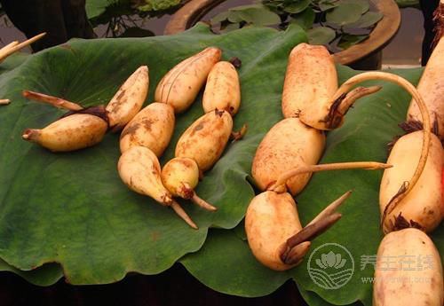 吃蓮藕的好處有這些,給你總結好了,你喜歡吃嗎? 吃蓮藕的好處有這些,給你總結好了,你喜歡吃嗎?