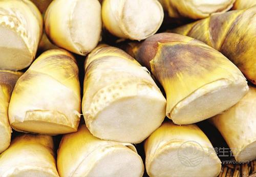 常吃竹筍,對身體有這些好處,可惜知道的人太少 常吃竹筍,對身體有這些好處,可惜知道的人太少