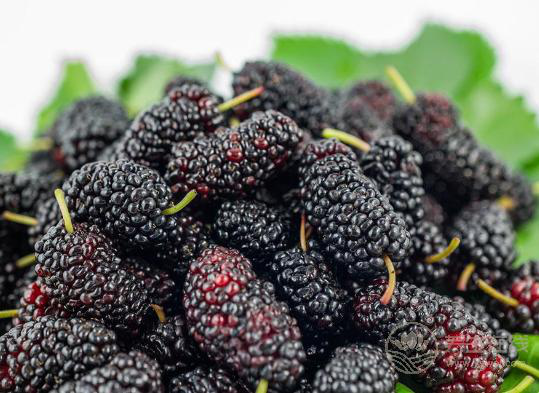 補(bǔ)血不想吃豬肝，那就選這些水果