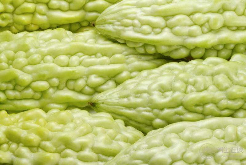 三伏天吃苦瓜好處多,但別跟它們搭配吃,越吃越虛 三伏天吃苦瓜好處多,但別跟它們搭配吃,越吃越虛