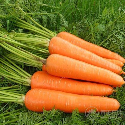 腎不好,別急著吃藥,這3種食物,能助你腎好人不倒 腎不好,別急著吃藥,這3種食物,能助你腎好人不倒