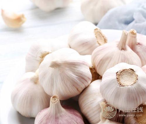 3種食物能“對抗”高血脂,多吃一些遠離血管堵塞 3種食物能“對抗”高血脂,多吃一些遠離血管堵塞