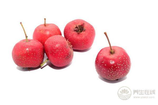 冬天進補需注意：羊肉不要與4種食物一起吃