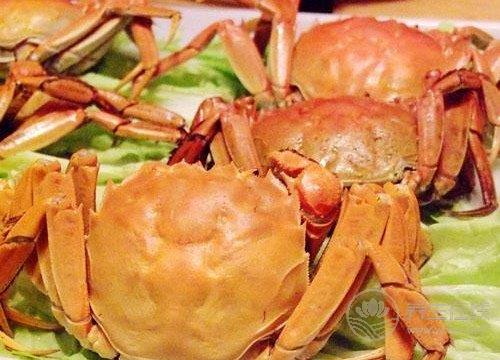 吃螃蟹的注意事項有哪些? 吃螃蟹的注意事項有哪些?