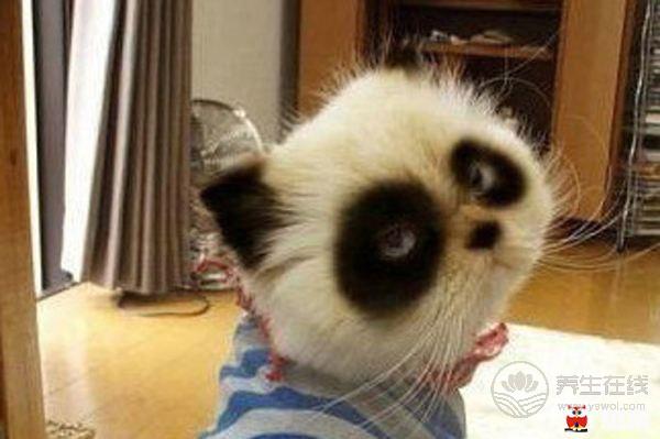 以為有黑眼圈就是睡眠不足?很多人都錯了 以為有黑眼圈就是睡眠不足?很多人都錯了