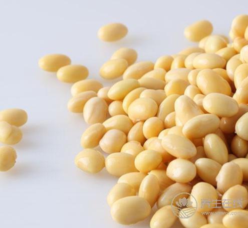 4種雜糧是抗癌“高手”，多吃對身體有益