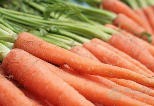 這些水果和蔬菜都很便宜，常吃對健康有益處，你喜歡吃嗎