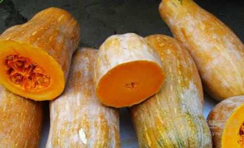 胃不好多吃這5種食物，助消化、減疼痛、修護胃黏膜