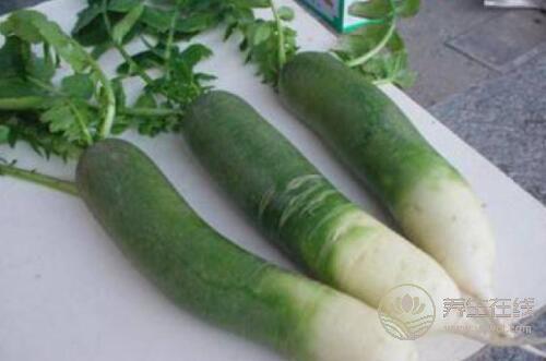 冬吃蘿卜，抗衰老又防癌，多讓它出現在廚房