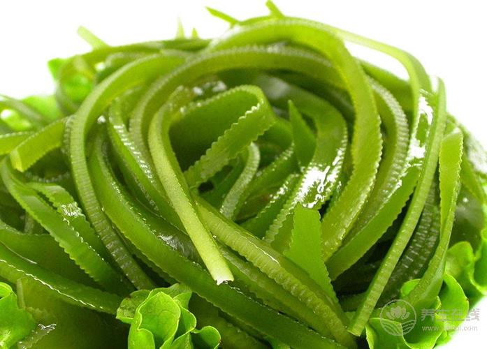 抽煙的人一定要看：4種清肺食物幫助保護(hù)您和家人的肺