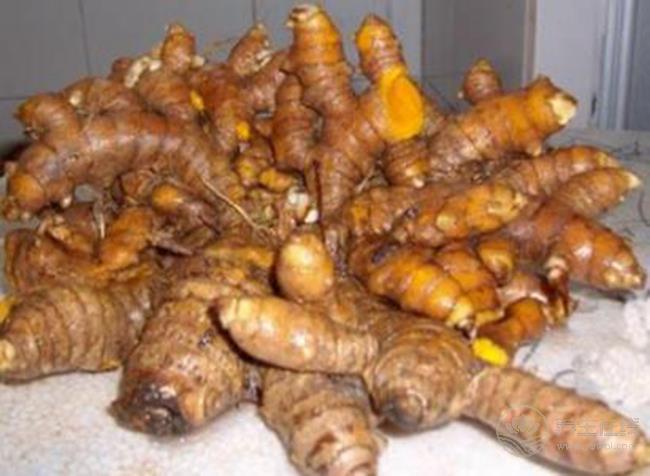 沒想到,生姜還有這么多品種,你都認齊了嗎 沒想到,生姜還有這么多品種,你都認齊了嗎