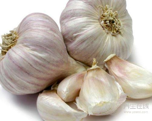 大蒜吃法有講究,吃錯了不抗癌,還會致癌! 大蒜吃法有講究,吃錯了不抗癌,還會致癌!