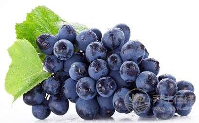 養胃水果有哪些? 養胃水果有哪些?