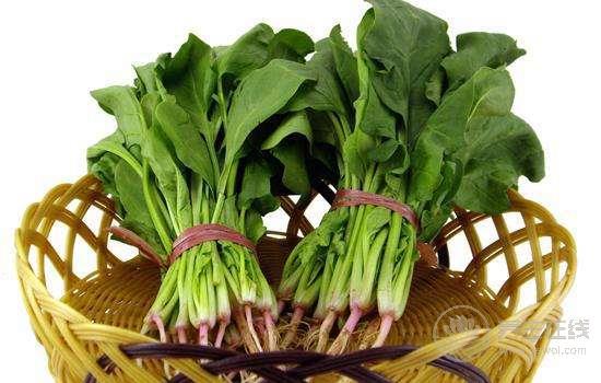 菠菜不能和什么一起吃?菠菜吃多了有什么害處 菠菜不能和什么一起吃?菠菜吃多了有什么害處