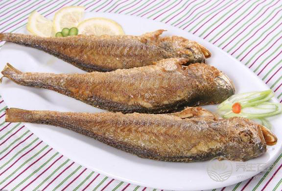 魚肉鮮嫩可口,6種常見魚類的養生作用,你不得不知 魚肉鮮嫩可口,6種常見魚類的養生作用,你不得不知