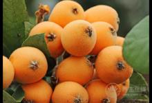 咽喉炎反復發作，這5種便宜好用的食物要多吃