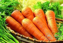 蘿卜是個(gè)好東西,但是不同的蘿卜有不同的功效,別吃錯(cuò)了