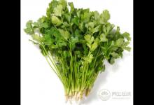 香菜是個寶,健胃消食營養豐富,可惜很多人不愛吃
