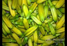 8種食物容易引起中毒，很常見，不懂的人要看看