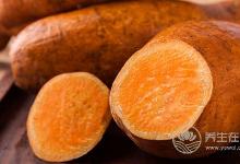 霧霾真會讓人胖？胖子怎么逆襲