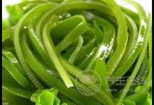 預防電腦輻射吃這些