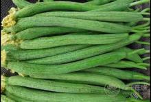 經(jīng)常吃絲瓜，對身體有這些好處