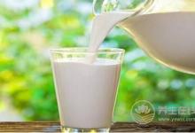 尿蛋白高不能吃什么水果？尿蛋白高吃什么好？