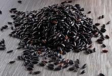 冬補吃什么？5種黑色食物別錯過