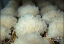 肝臟毒素多，可多吃這幾樣食物為肝排毒，菜市就有