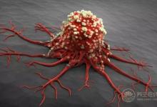 每天吃番茄的好處，給你總結(jié)好了