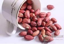 胃痛能吃花生嗎?花生有什么食療功效?