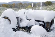 大雪養(yǎng)生|您不得不看的食療益氣補(bǔ)血養(yǎng)生法