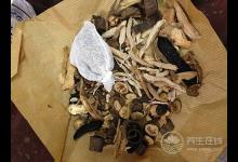 吃中藥養生，這樣吃藥效翻倍