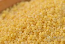 小米的5種好處,常吃小米好處多