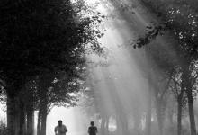 晨起運(yùn)動(dòng)是最好的養(yǎng)生方式，沒(méi)有之一