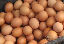 如何通過飲食來保養頭發、延緩老化